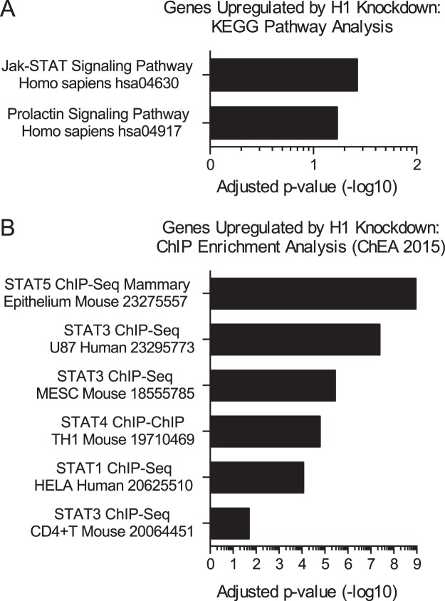 FIGURE 10.