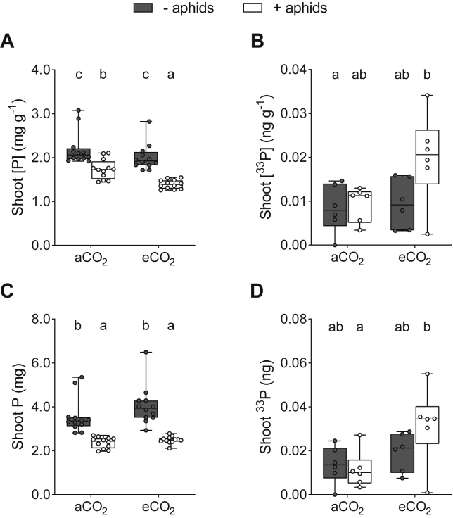 Figure 5