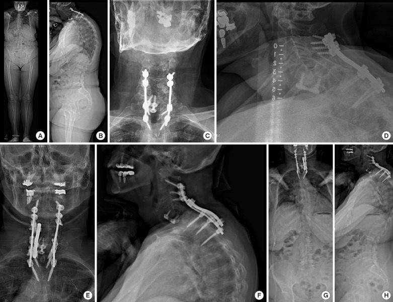 Fig. 7.