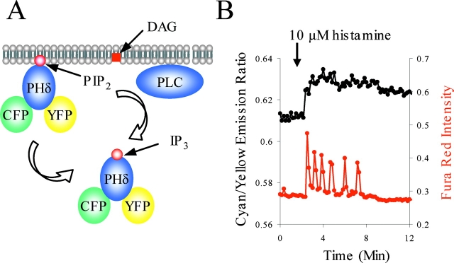 Figure 6.