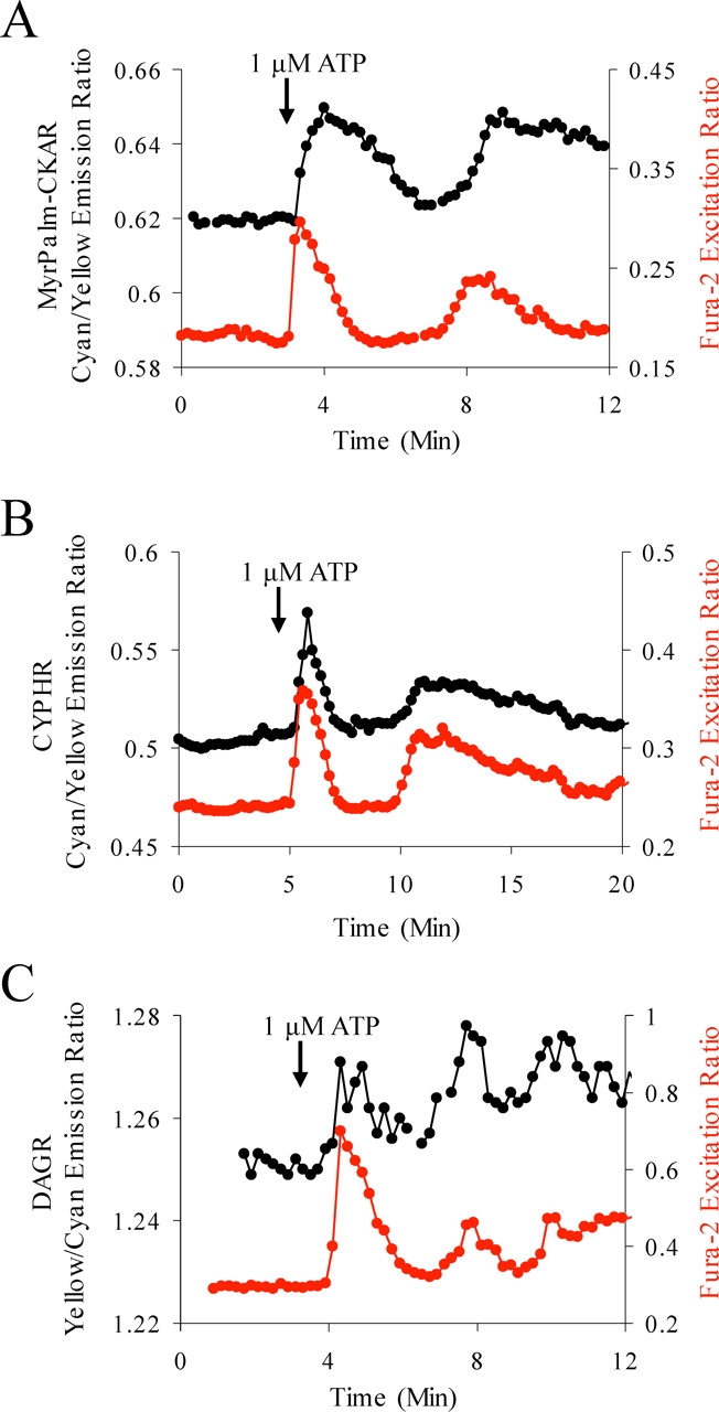 Figure 7.