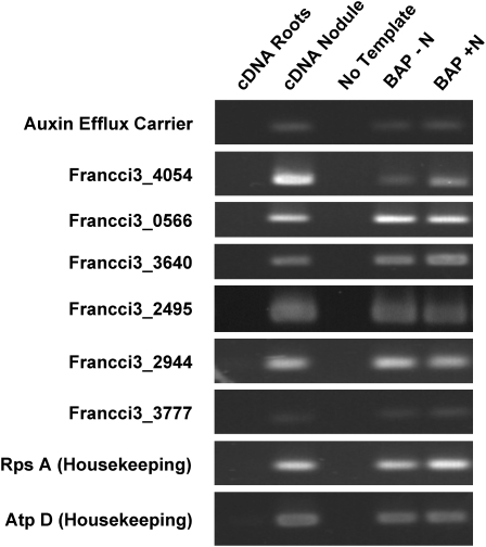 Figure 4.