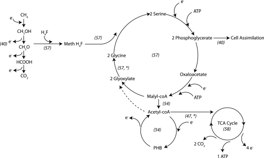 Fig. 5.