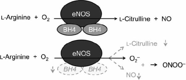 Fig. (2)