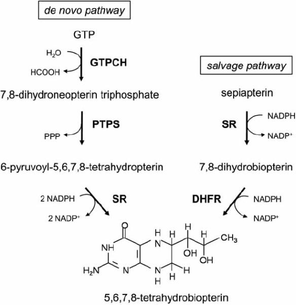 Fig. (3)