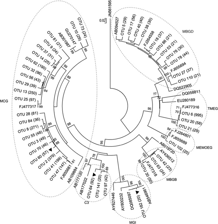 Fig 6