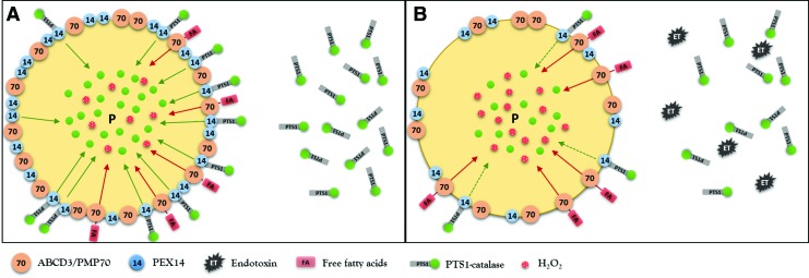 FIG. 6.