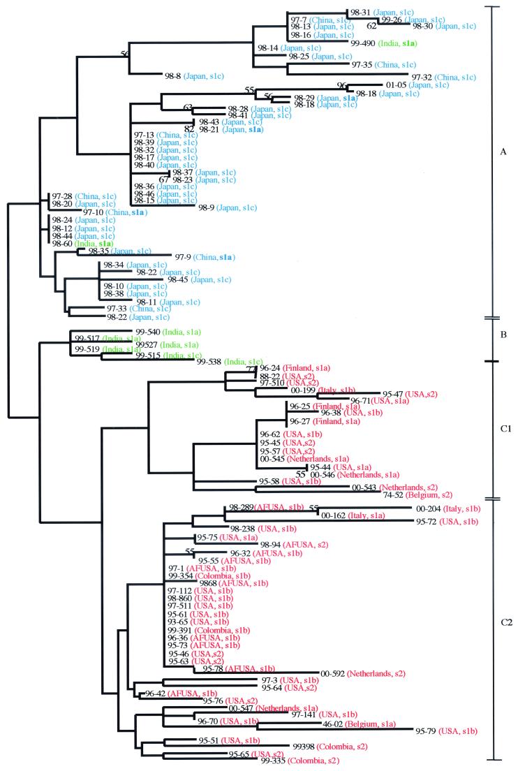 FIG. 1.