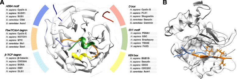 Fig. 4