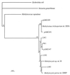 FIG. 3