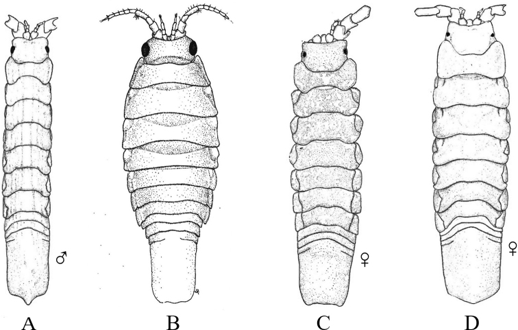 Figure 29.