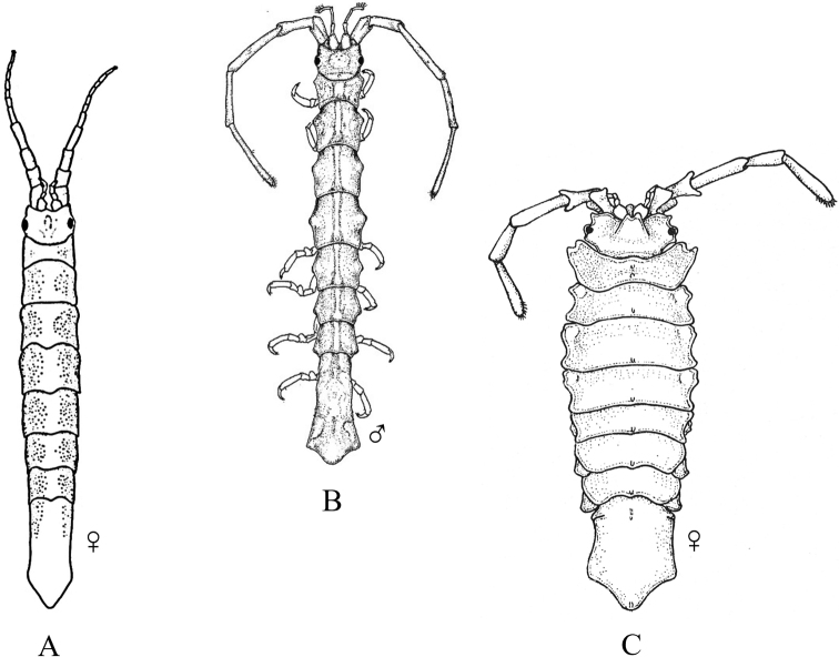 Figure 26.