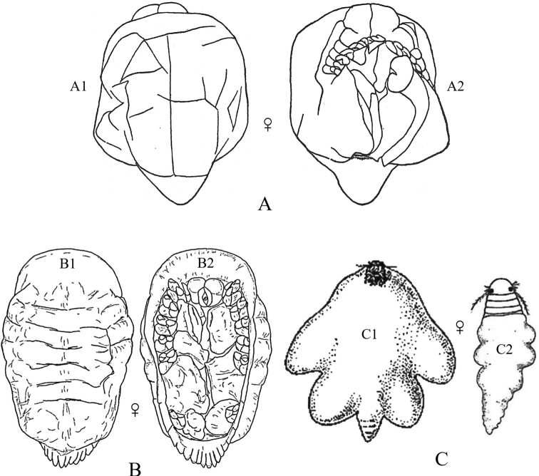 Figure 16.