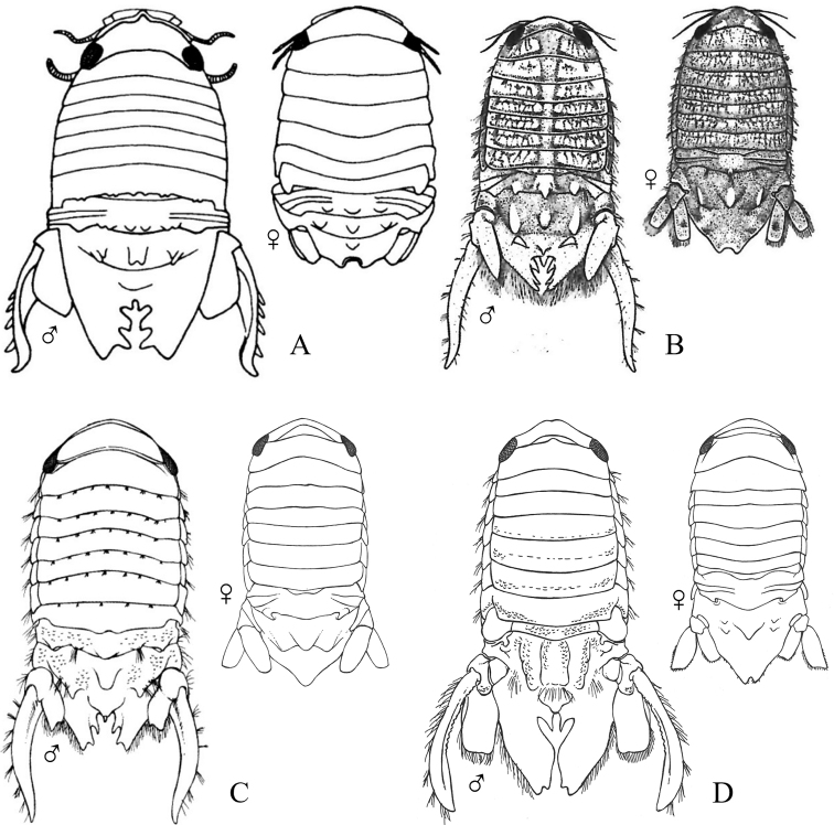 Figure 21.