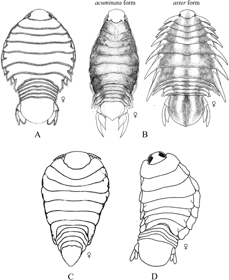 Figure 10.