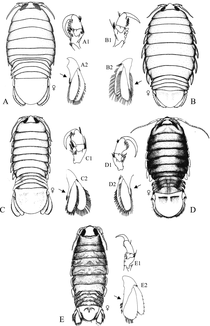 Figure 9.