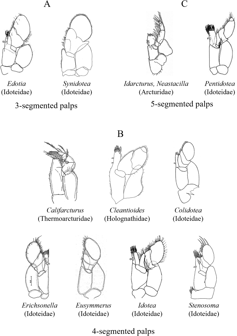 Figure 24.