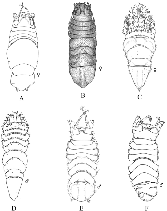 Figure 38.