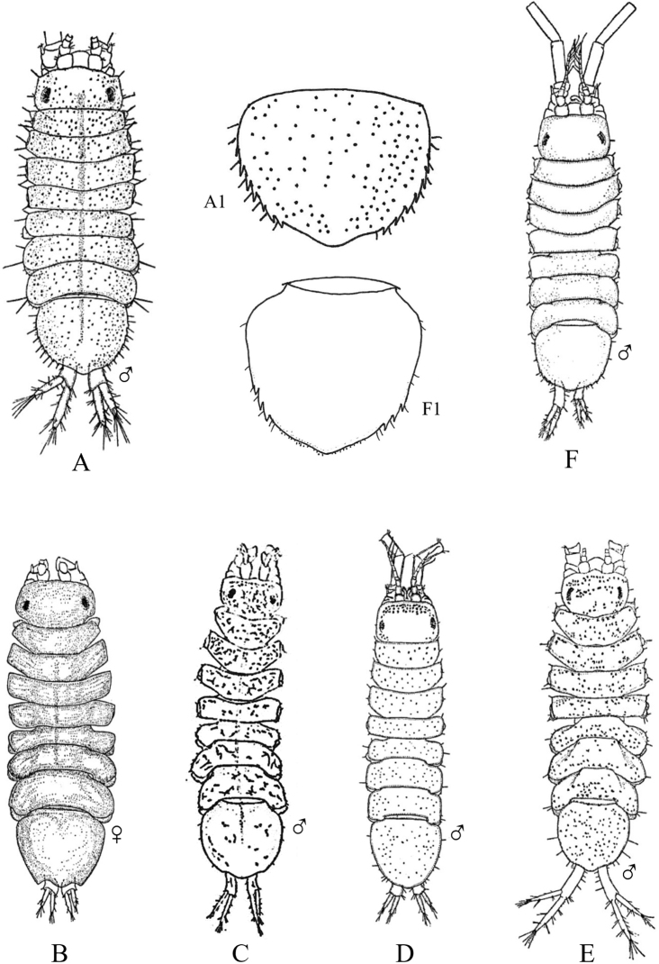 Figure 34.