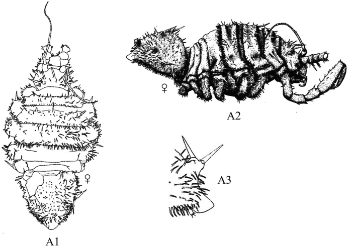 Figure 37.