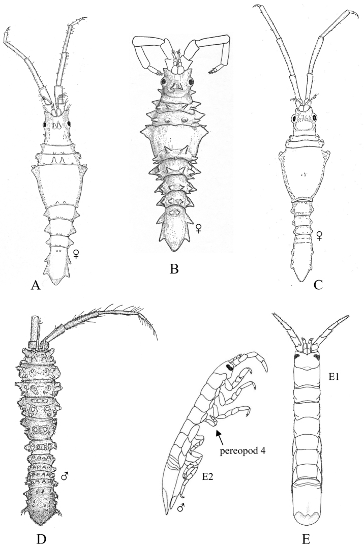 Figure 25.