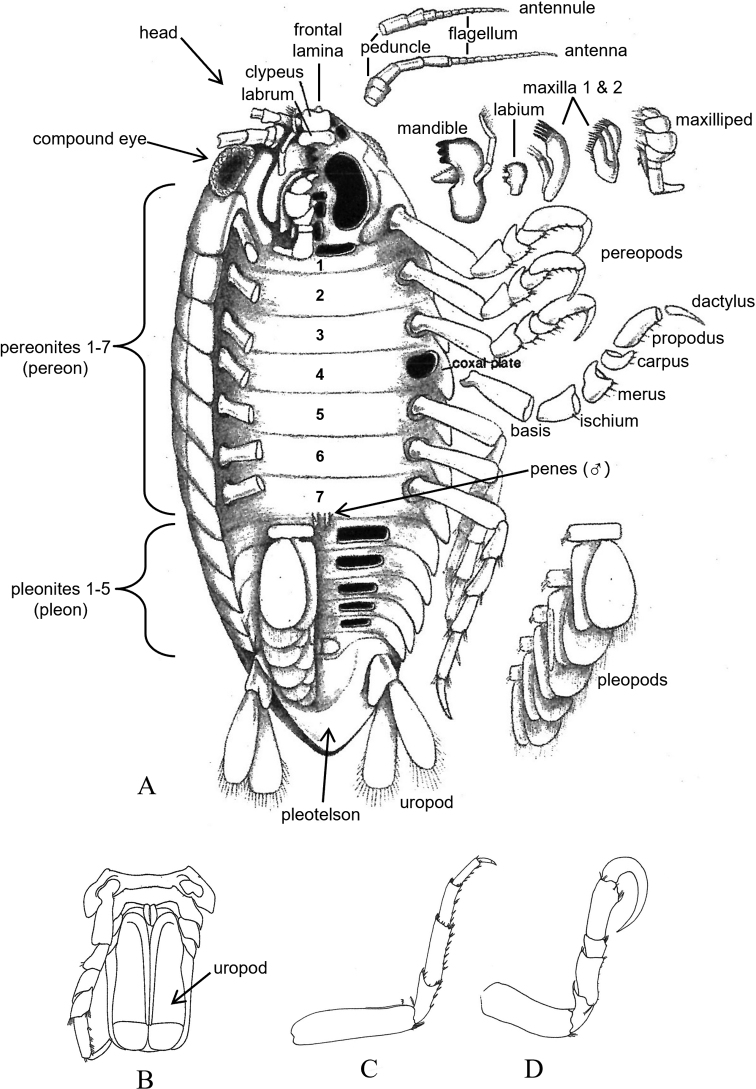 Figure 3.