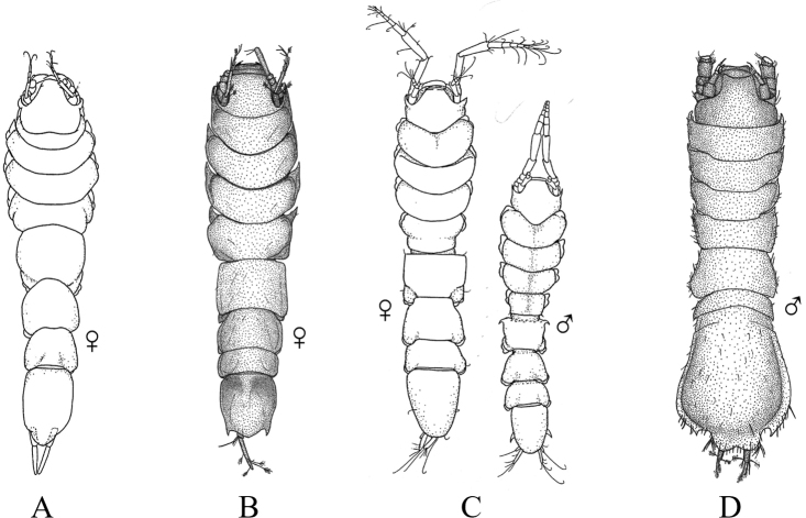 Figure 40.