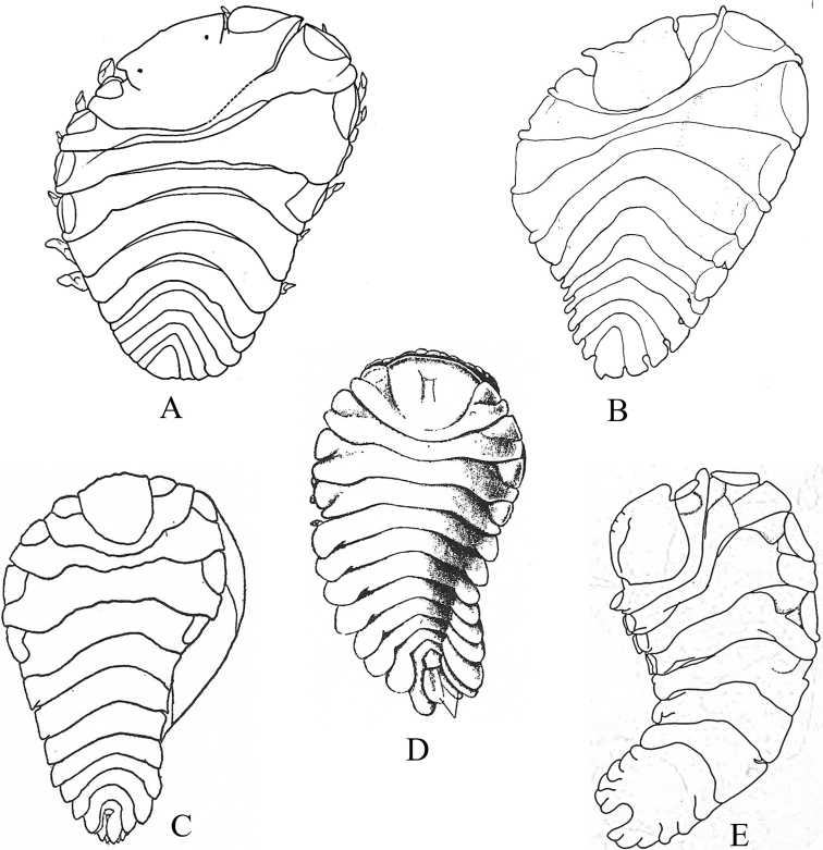 Figure 15.