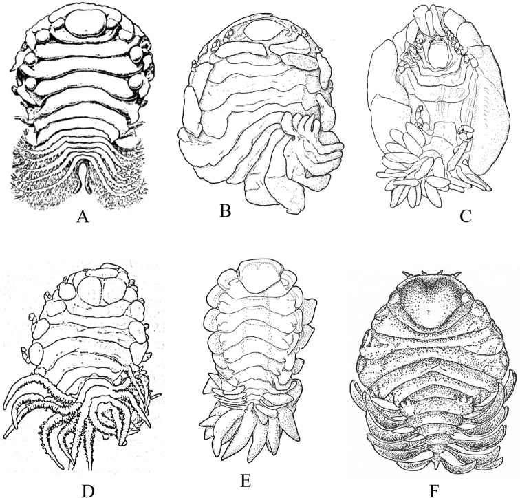 Figure 13.