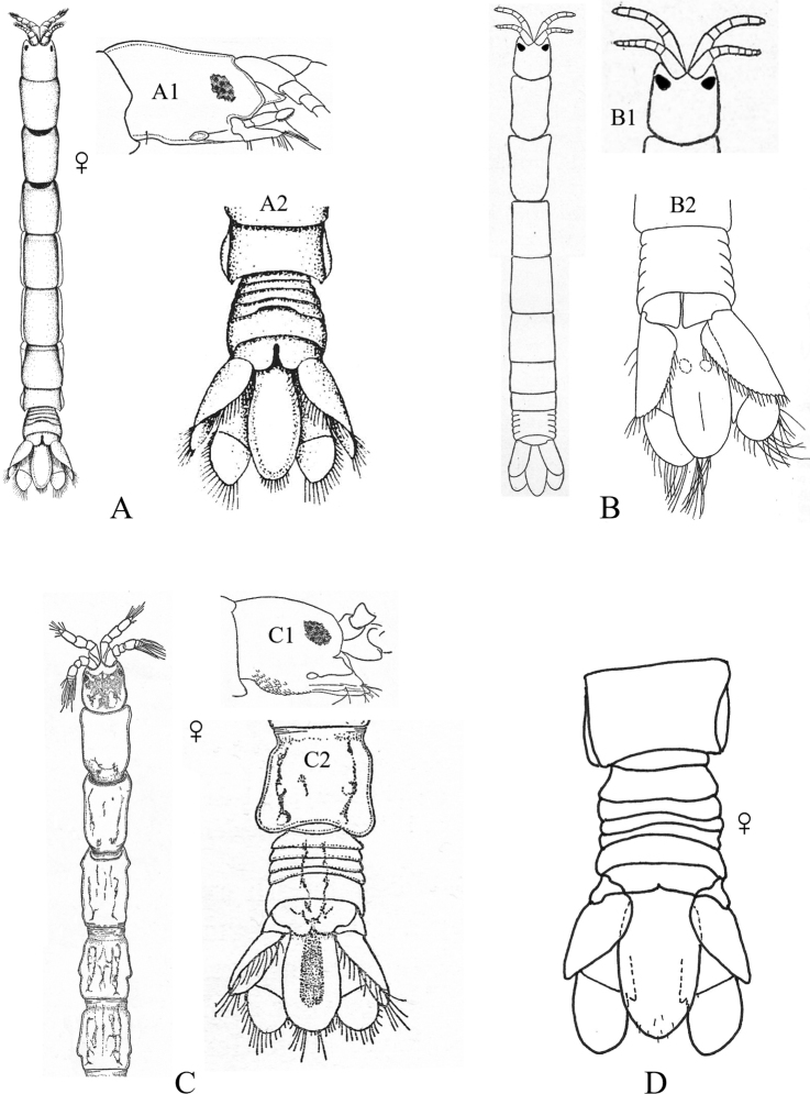 Figure 5.