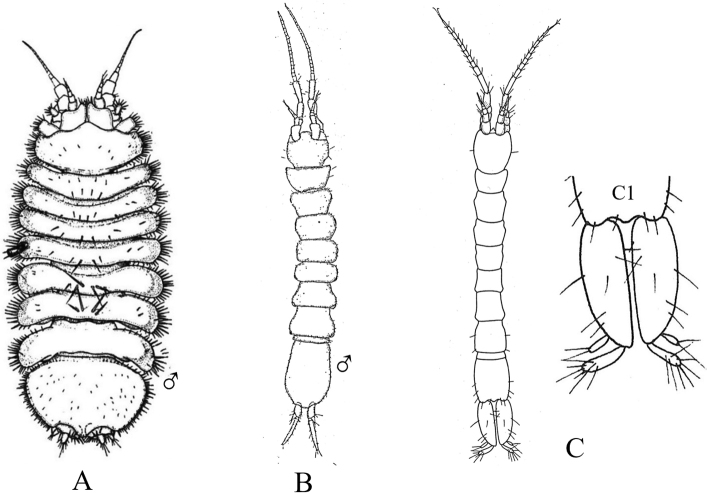 Figure 39.