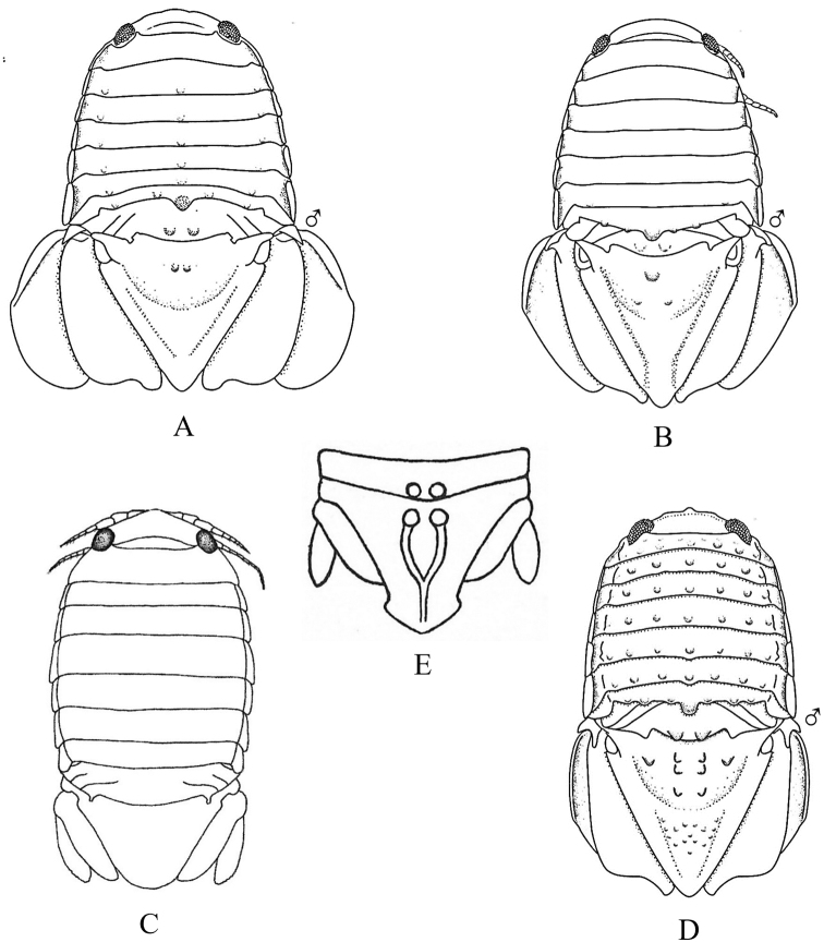 Figure 23.