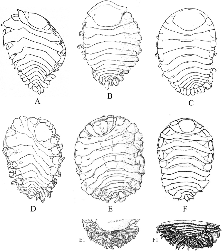 Figure 14.