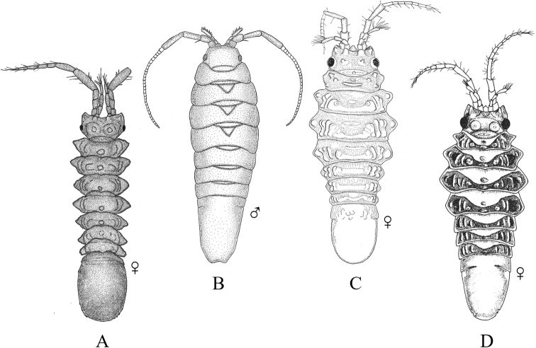 Figure 28.