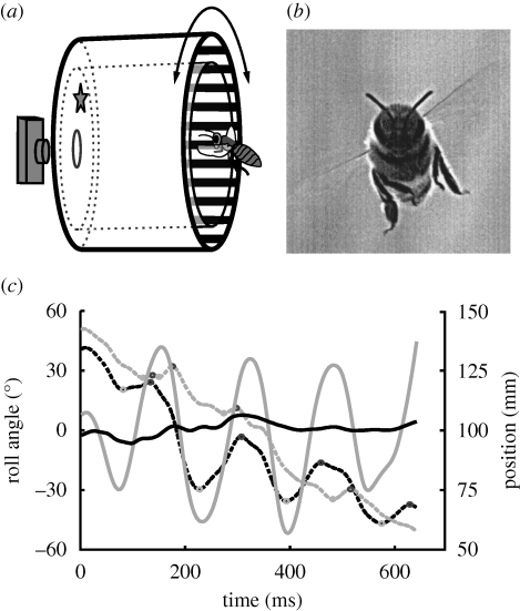 Figure 1.