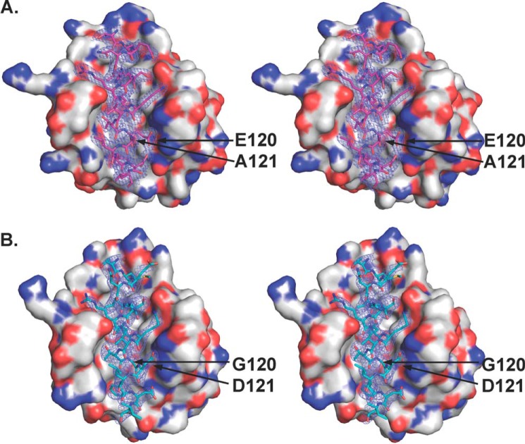 FIGURE 4.