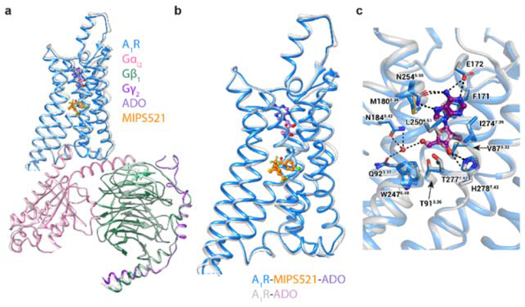 Figure 2 |