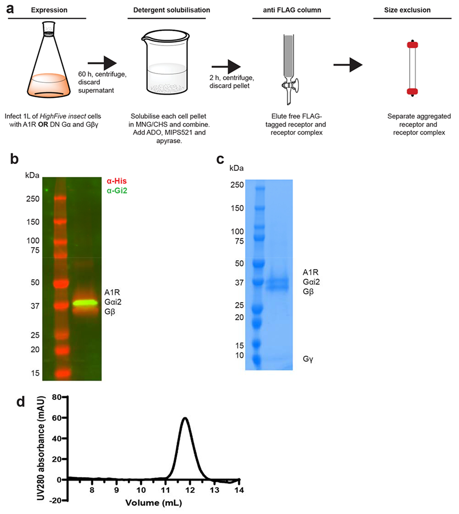 Extended Data Figure 3 |