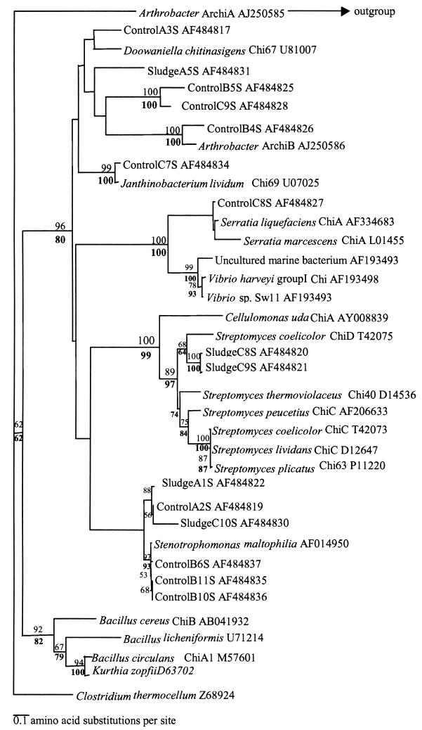 FIG. 7.