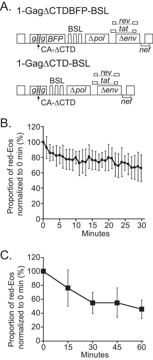 FIG 2