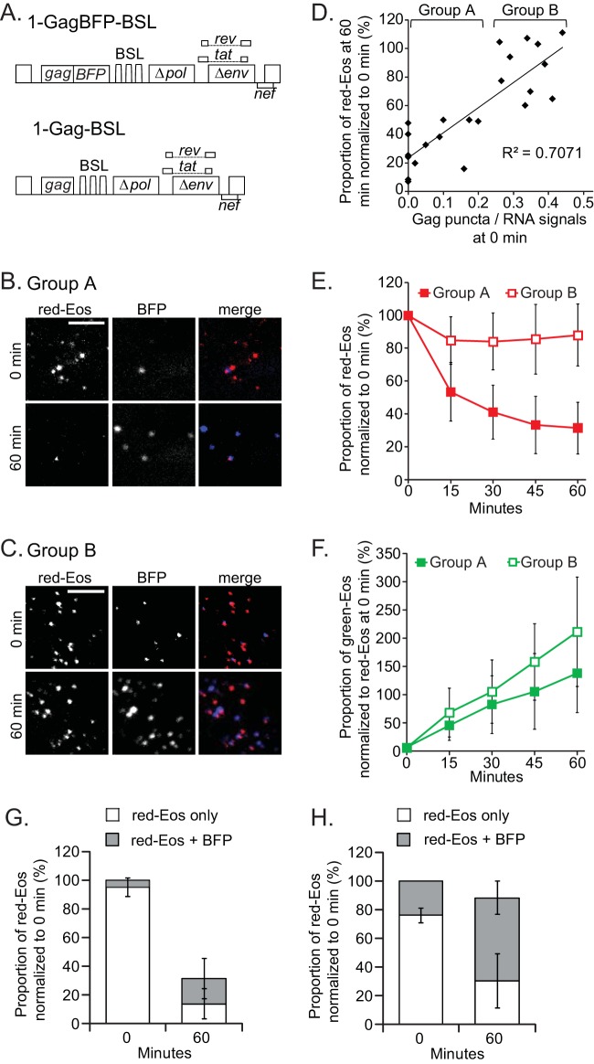 FIG 4