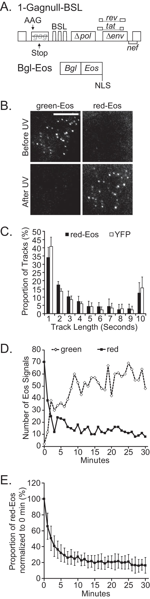 FIG 1