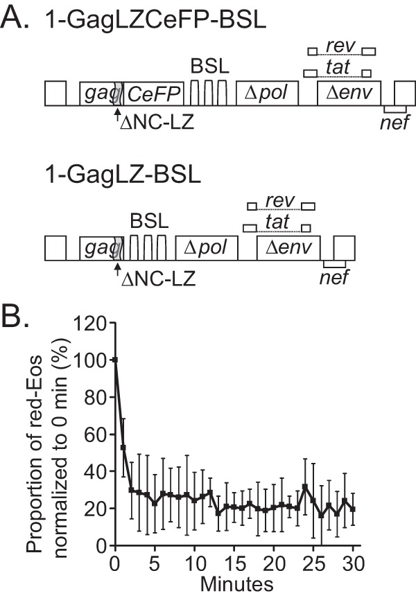 FIG 3