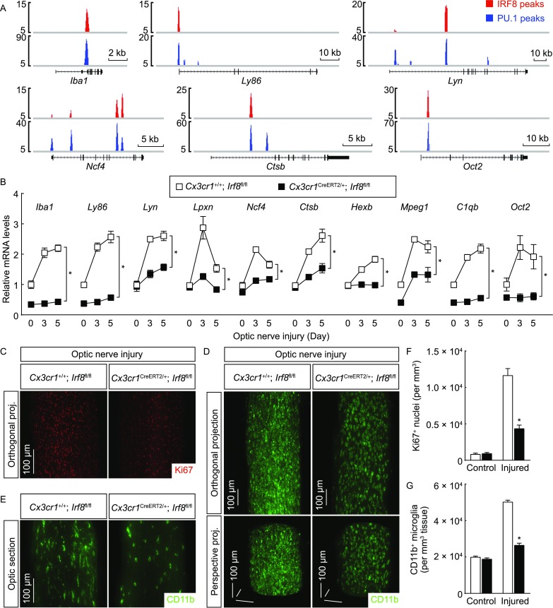 Figure 6