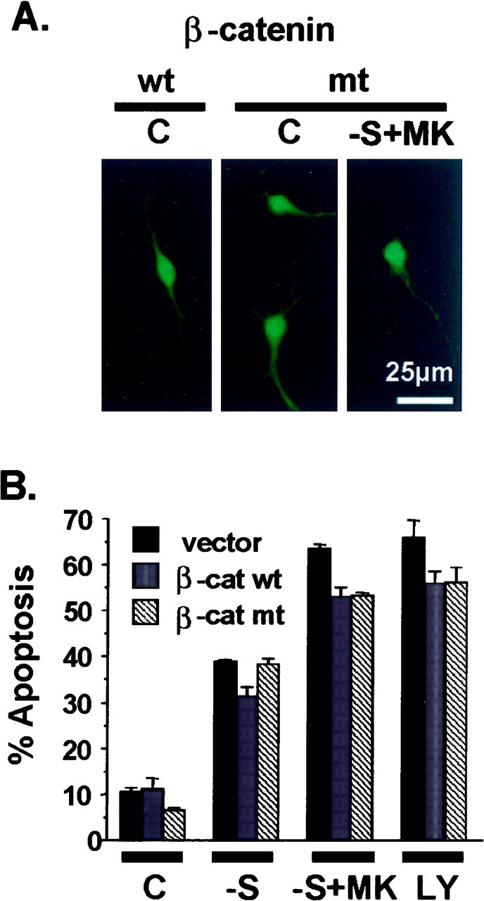 Fig. 9.