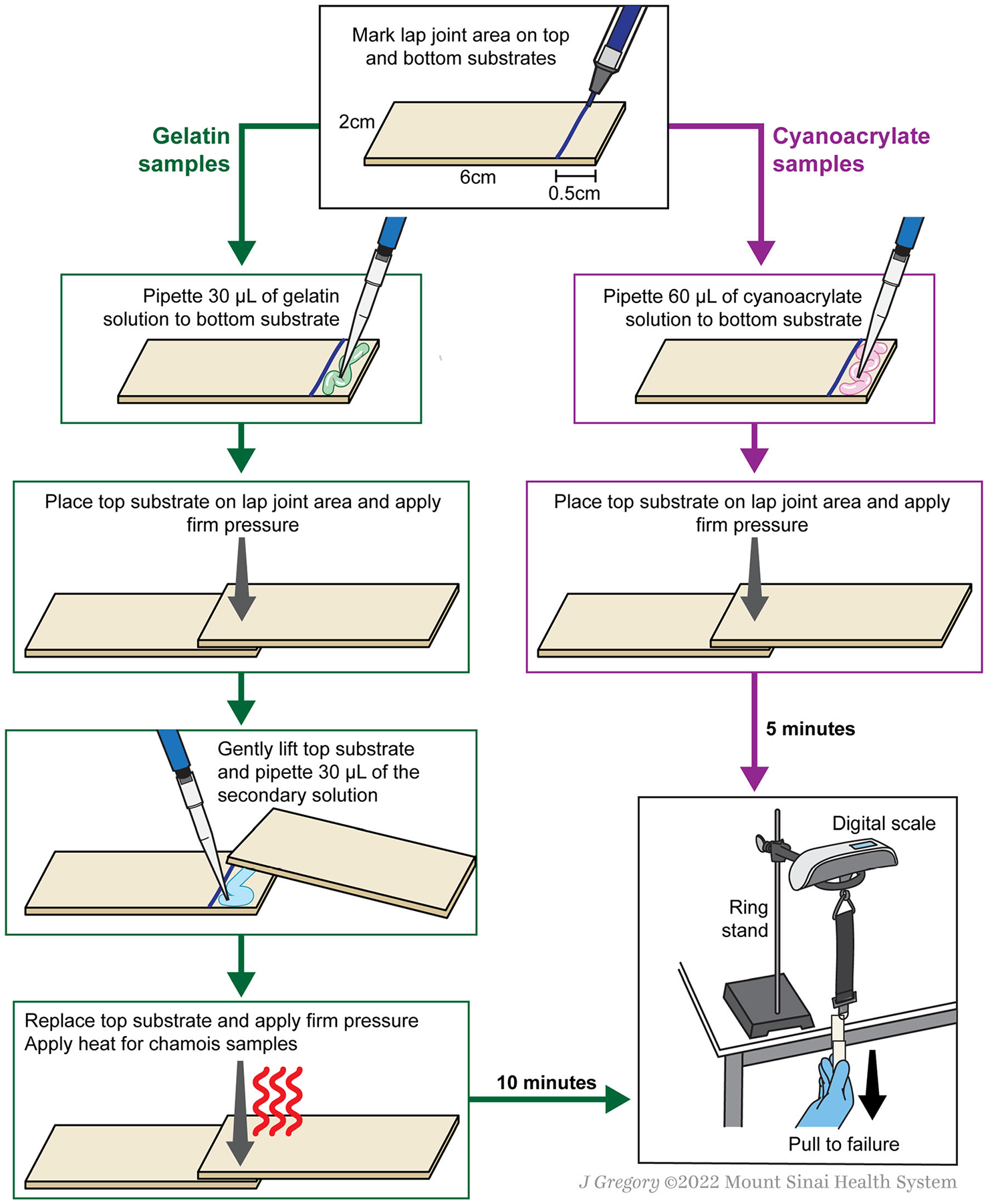 FIGURE 1.