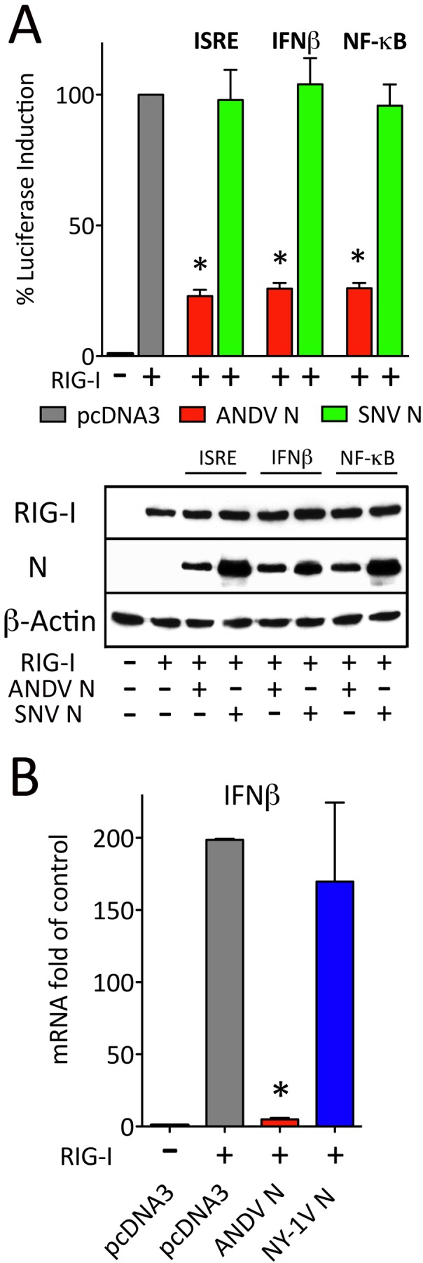 FIG 1 