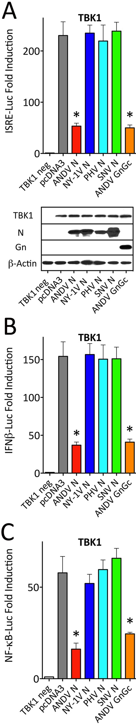 FIG 3 