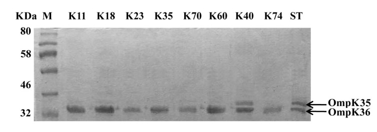 Fig. (1)