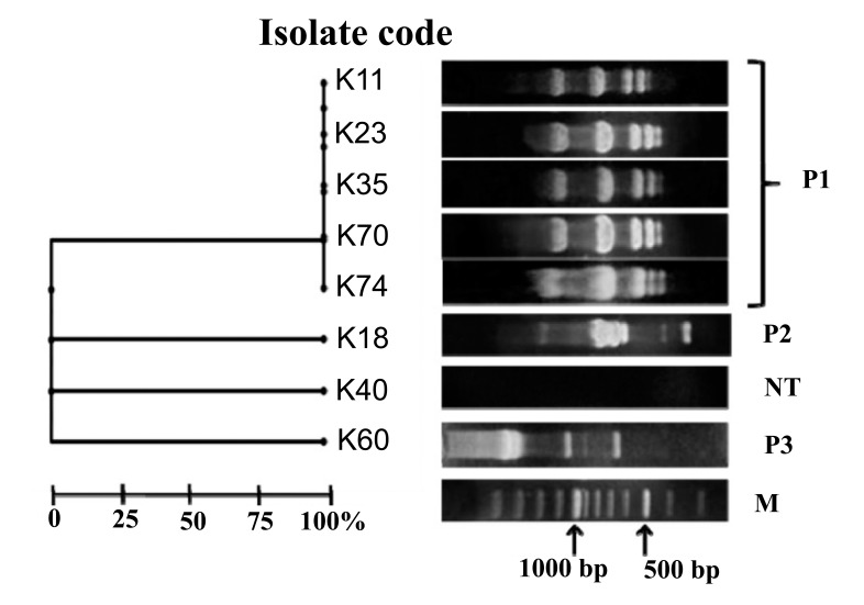 Fig. (2)